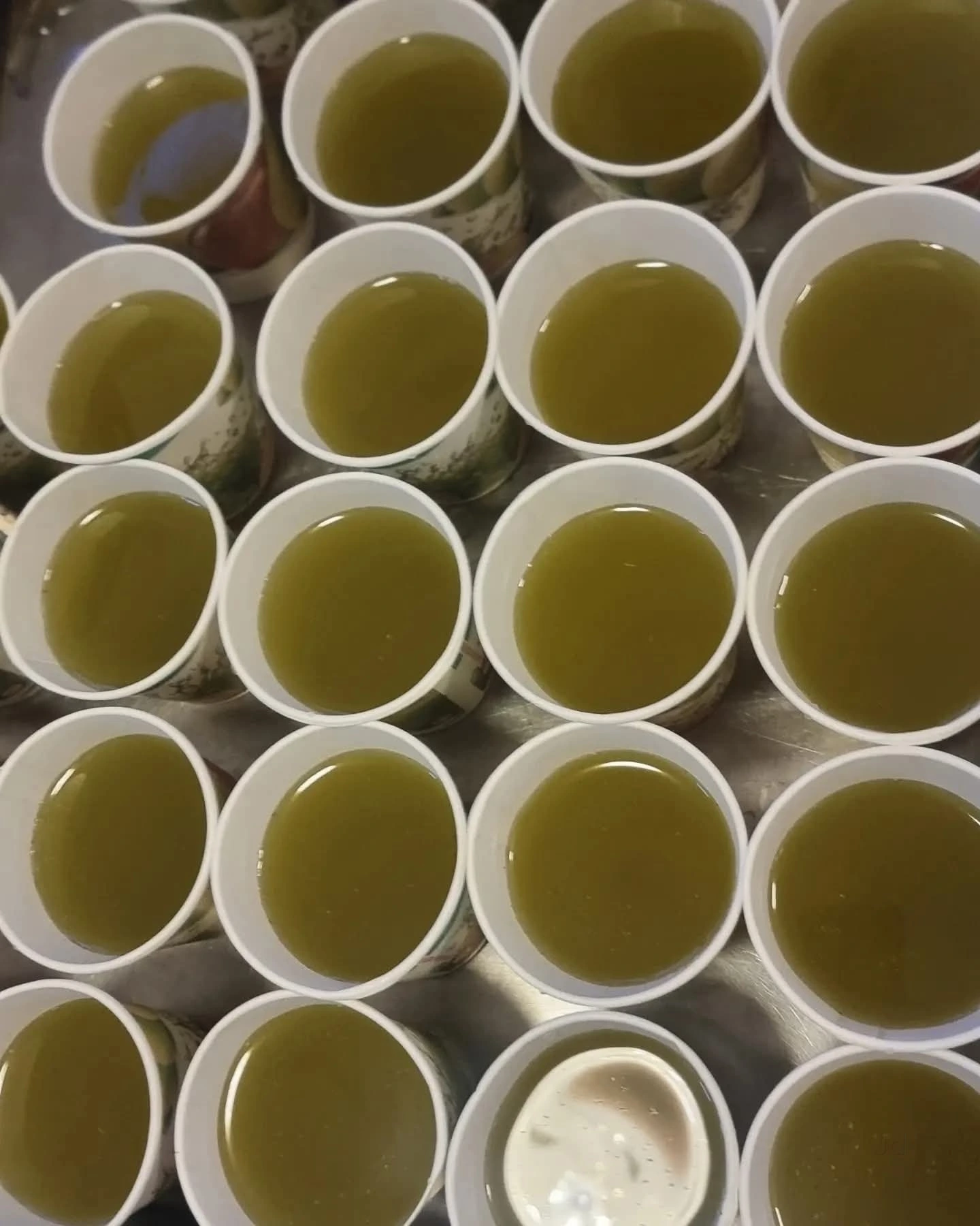 Individual bowls arranged for catering service